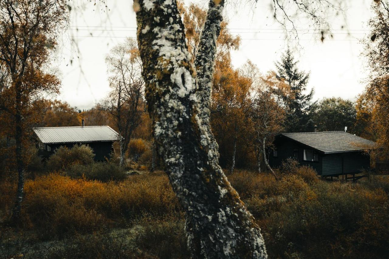 Ancarraig Lodges Drumnadrochit Exterior foto